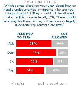 Undocumented immigrants