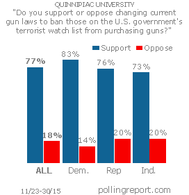 Guns and terrorism